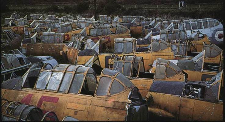 http://i9.photobucket.com/albums/a66/DavidHomewood/NZWingsApr95-1a.jpg