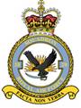 20 Sqn Crest